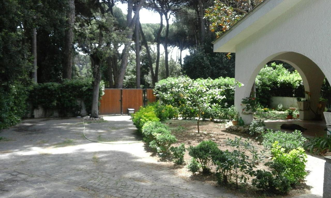 La Casa Di Nataly Bed & Breakfast Fregenae Eksteriør bilde