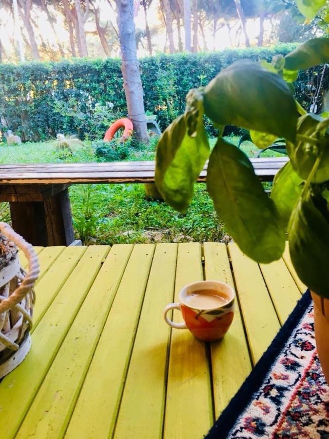 La Casa Di Nataly Bed & Breakfast Fregenae Eksteriør bilde