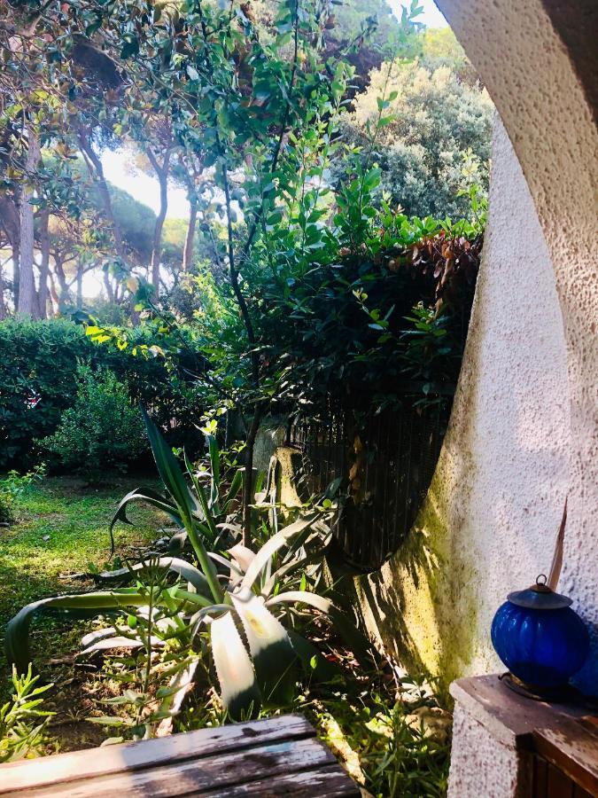 La Casa Di Nataly Bed & Breakfast Fregenae Eksteriør bilde
